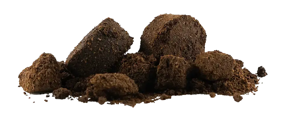Koffiedroes duurzaamheid roots n roast